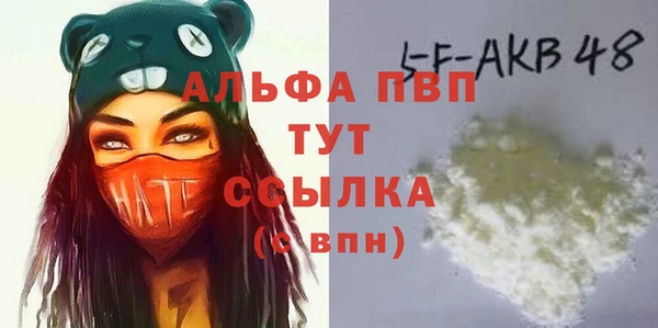 сатива Вязьма