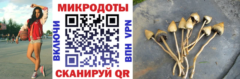 Псилоцибиновые грибы Magic Shrooms Заводоуковск